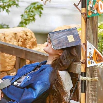 花儿与少年·同心季